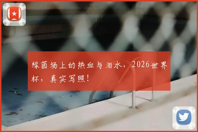绿茵场上的热血与泪水,2026世界杯,真实写照!