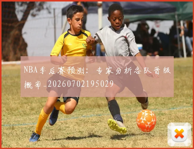 NBA季后赛预测:专家分析各队晋级概率_20260702195029