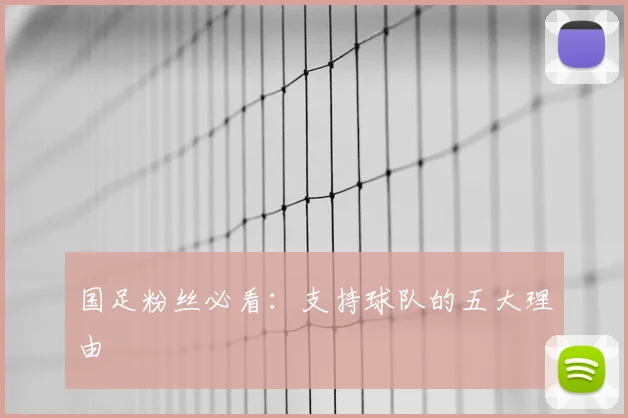 国足粉丝必看:支持球队的五大理由