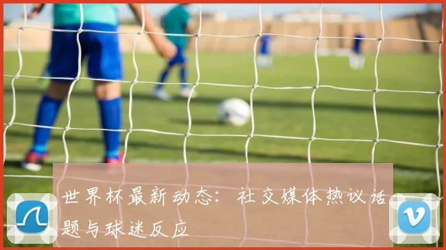 世界杯最新动态：社交媒体热议话题与球迷反应