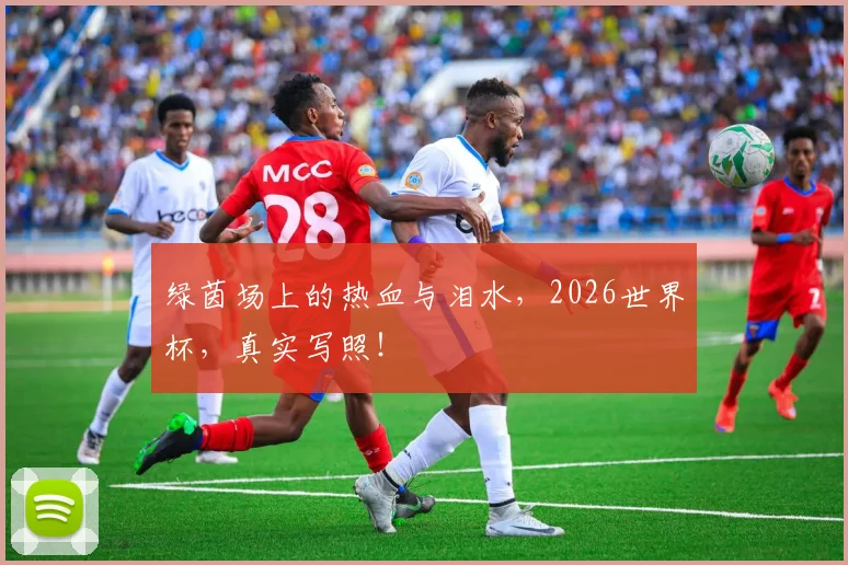 绿茵场上的热血与泪水,2026世界杯,真实写照!