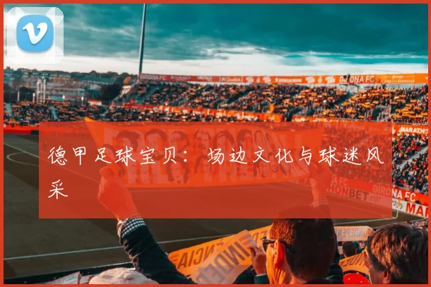 德甲足球宝贝：场边文化与球迷风采