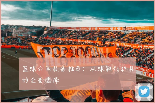 篮球公园装备推荐:从球鞋到护具的全套选择